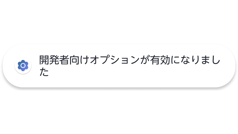 入力すると開発者向けオプションが有効になる。