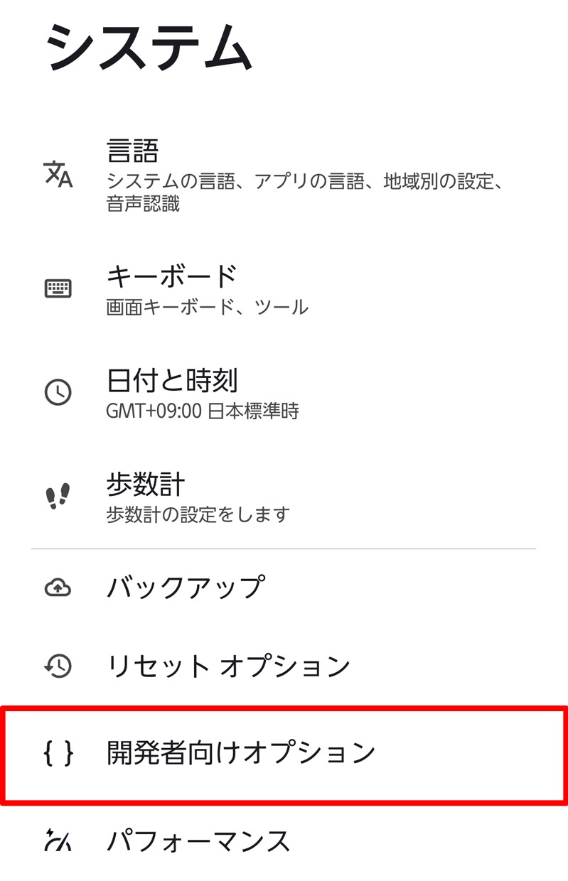 入力すると開発者向けオプションが有効になる。